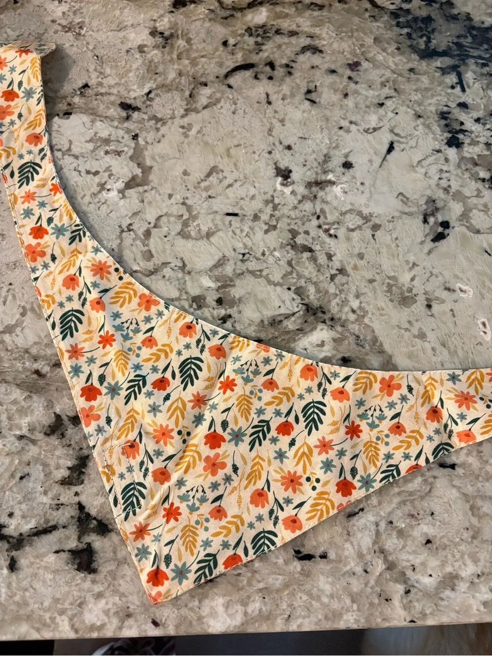 Bandana